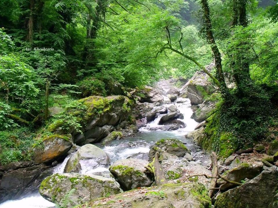 Guesthouse Honeymoon Siğnaği Dış mekan fotoğraf